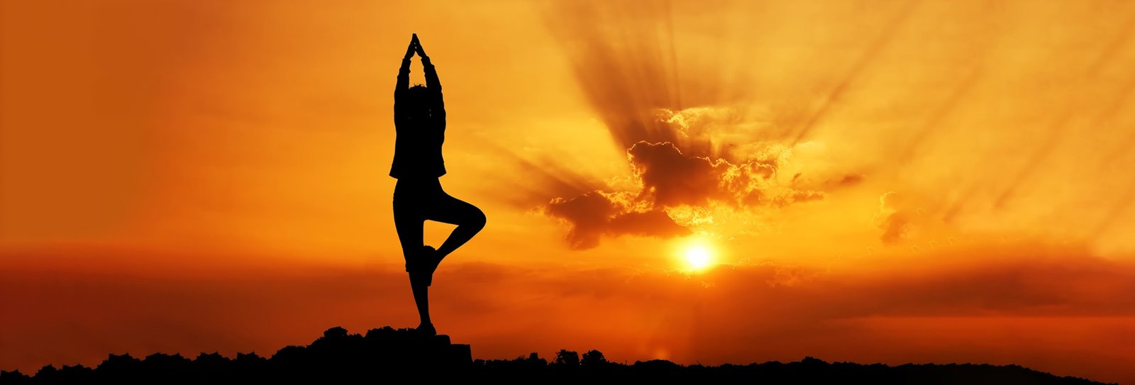 KAPTI - Yogam Advanced Certificate in Hatayoga and Meditation