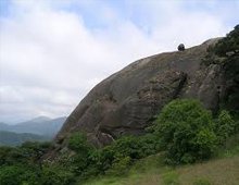 Pakshipaathalam